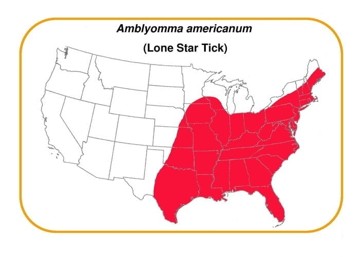 Amblyomma-americanum_map