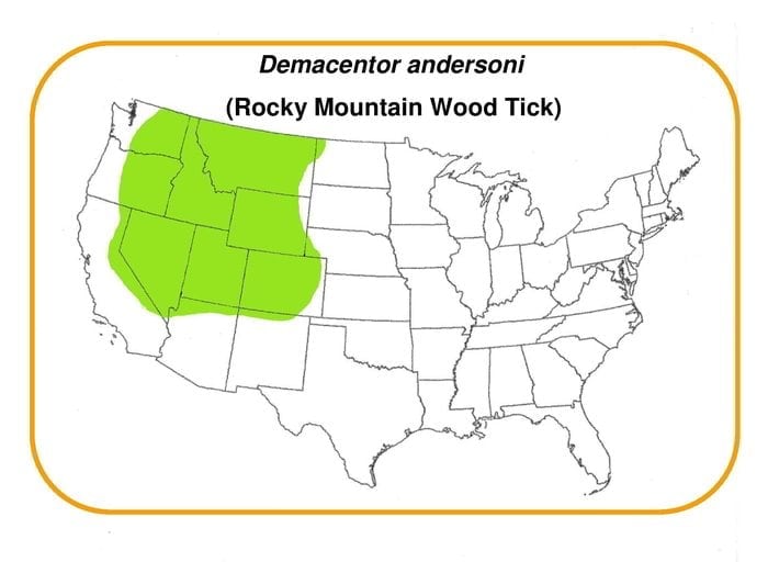 Demacentor-andersoni_map