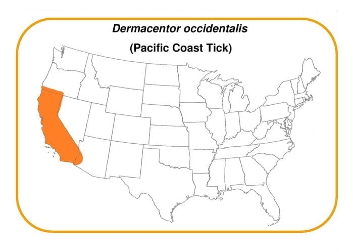 Dermacentor-occidentalis_map