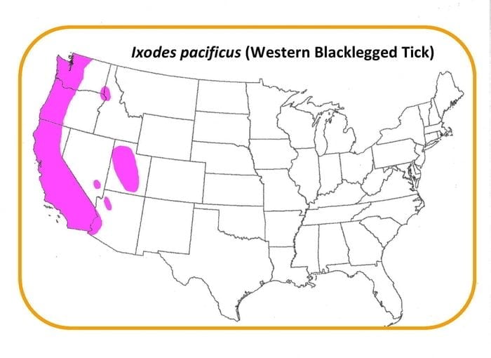 Ixodes-pacificus_map
